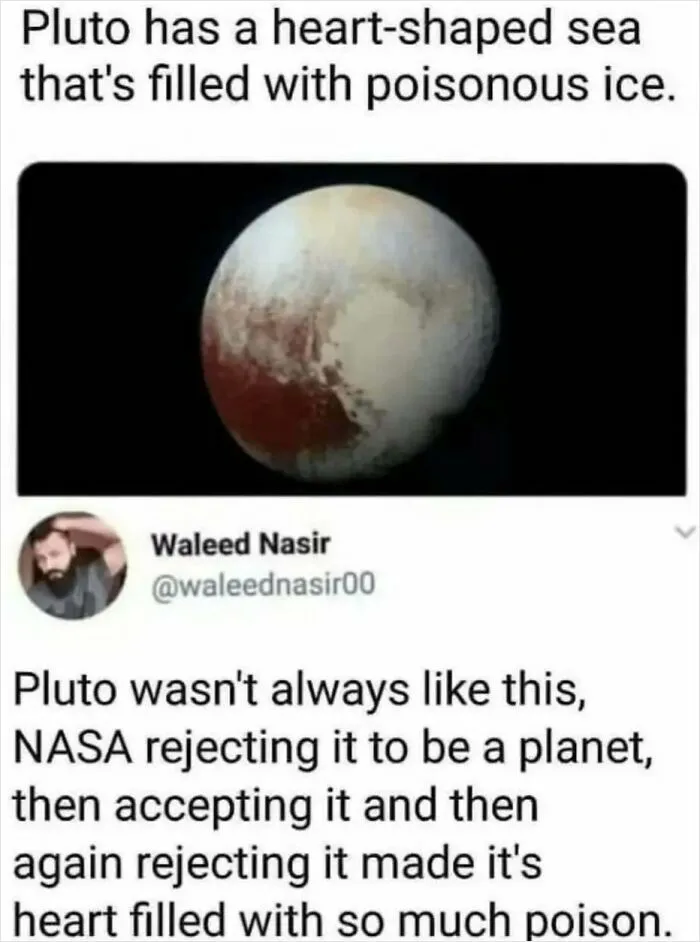 48 “Gems Of Replies” Spotted Around The Internet That Might Make You Laugh More Than You Should (New Posts)