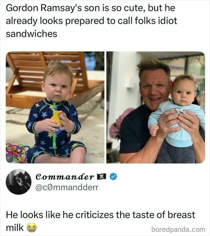 48 “Gems Of Replies” Spotted Around The Internet That Might Make You Laugh More Than You Should (New Posts)