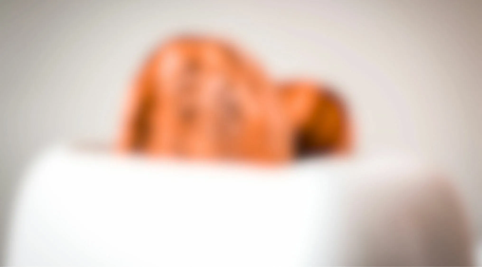 Blurry image of kitchen appliance hard to identify in eyesight trivia quiz