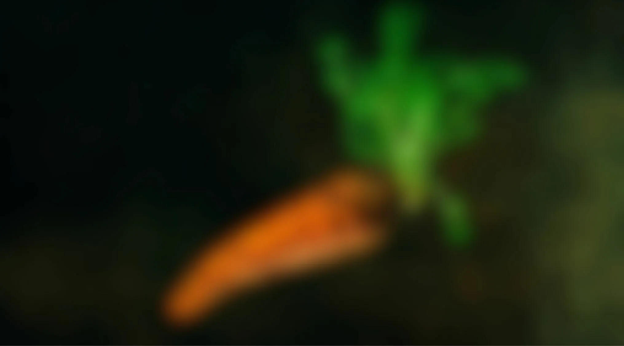 Blurry image of a carrot vegetable with green leaves
