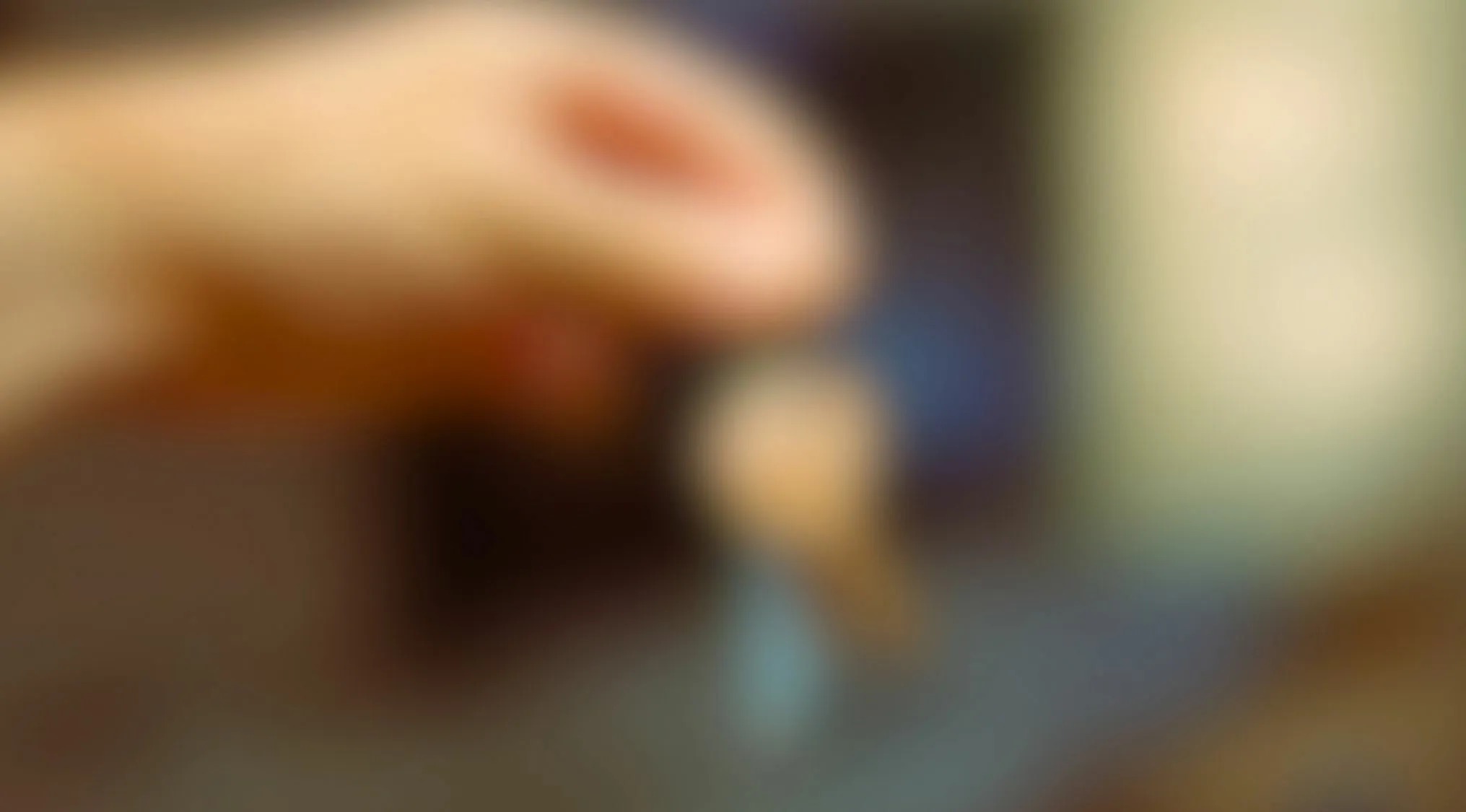 Blurry hand holding object blurry eyesight trivia quiz