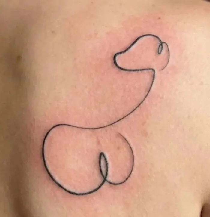 That's Supposed To Be A Minimalist Pup. I Don't See It Either