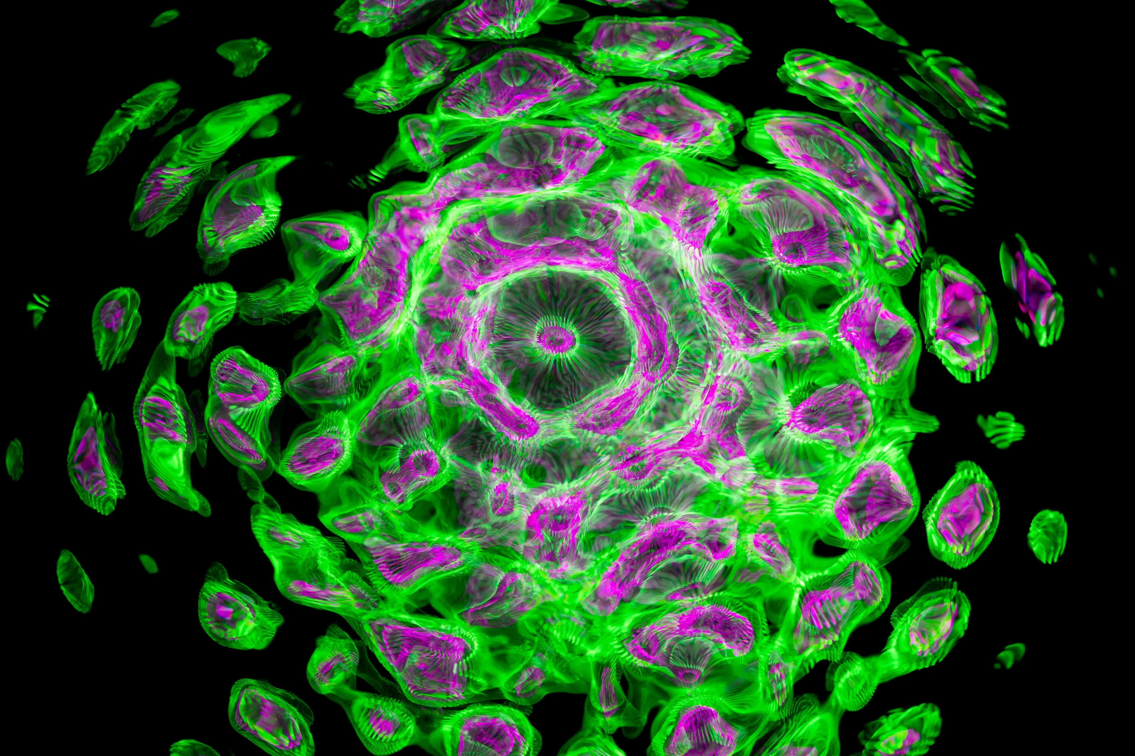 Close-up microscopic view of a human cell showing energy-producing structures