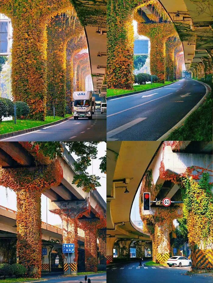 Chengdu Overpass Covered With Greenery