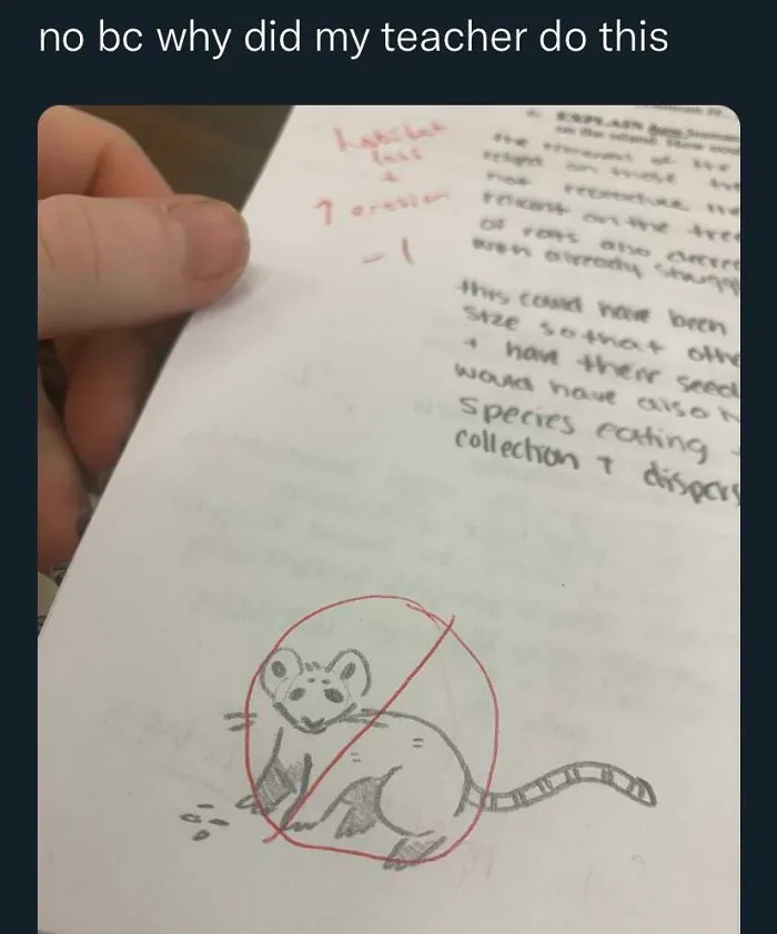 A hand-drawn rat crossed out in red on a graded school assignment by teachers.