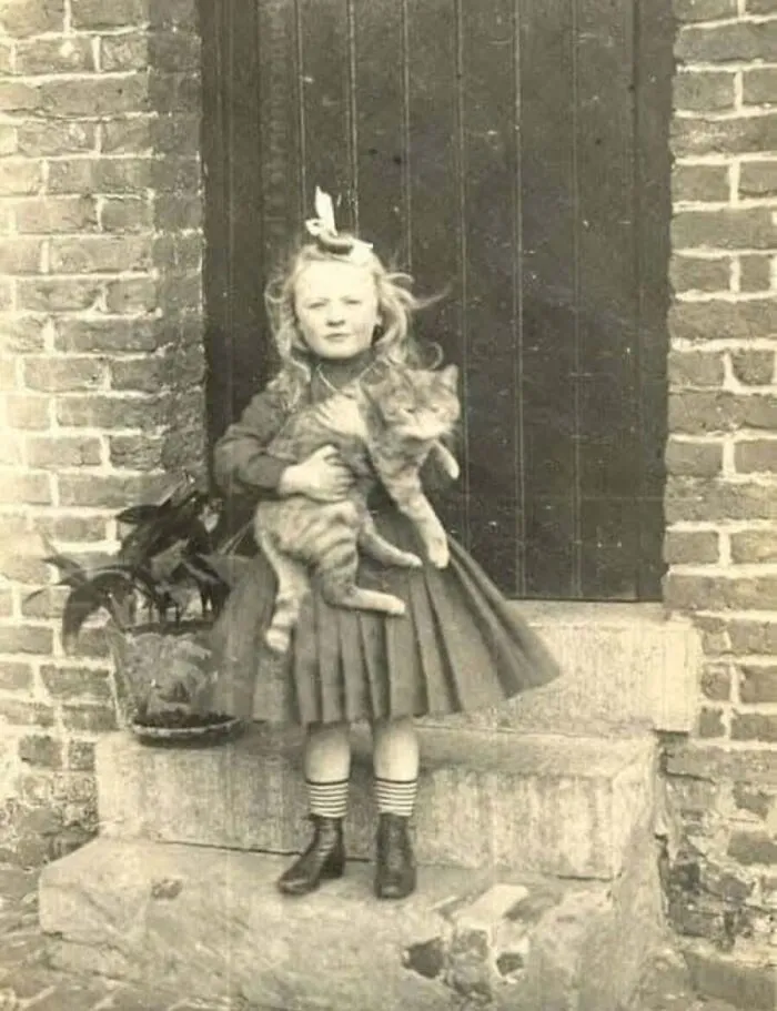 A young girl in a dress holds a striped cat on stone steps in a lovely vintage cat photo.