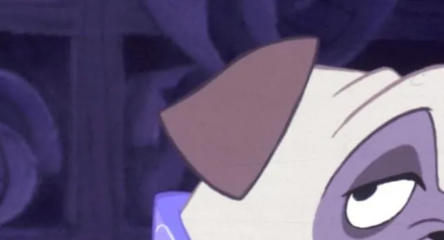 An extreme zoom-in of Percy the pug to help you guess the Disney character.