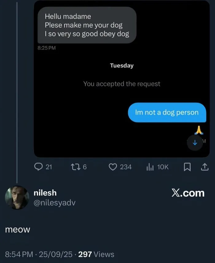 Text exchange showing a message asking to be made a dog and a reply stating not a dog person