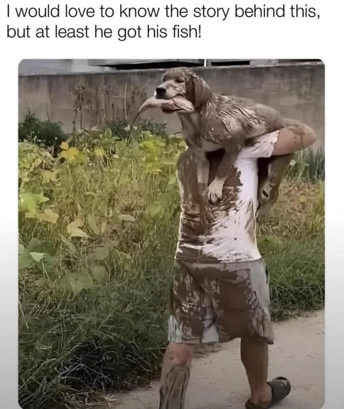 Dog memes of a muddy pup being carried after catching a fish