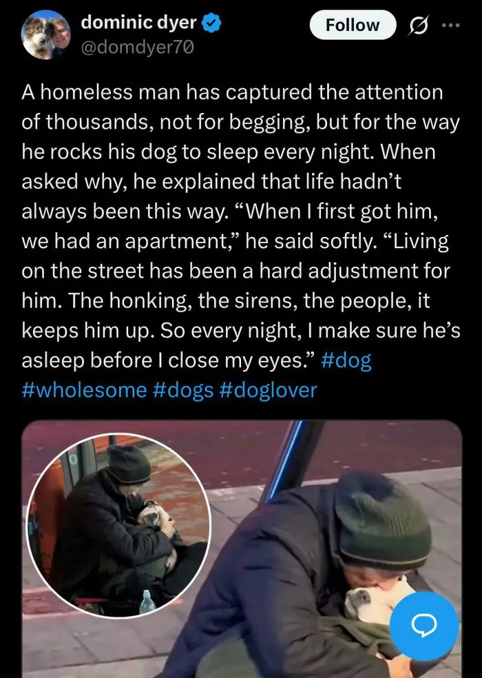 #wholesome #doglover