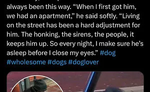 “So Wholesome”: 79 Stories That Seem Like Good News Until You Read Between The Lines
