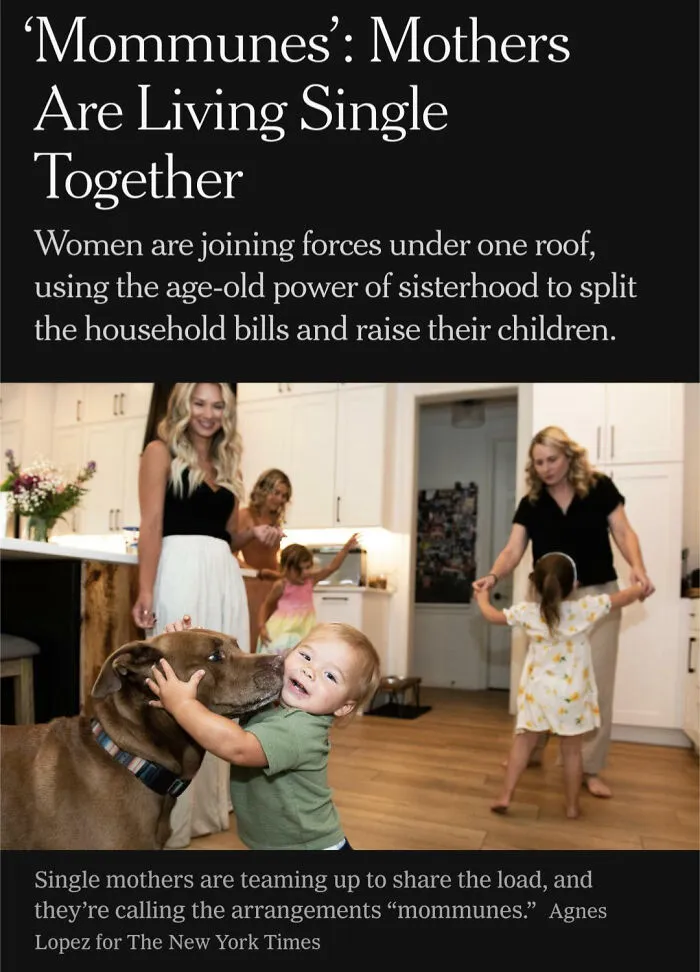 Weird Way To Glorify Rent Being So High, Single Mothers Have To Get Roommates