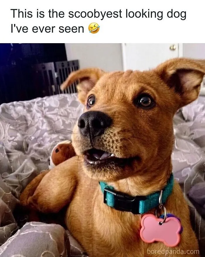70 Hilarious And Sad 90s Memes, Reminding Of That Great World We Had, And Lost Irrevocably (New Pics)