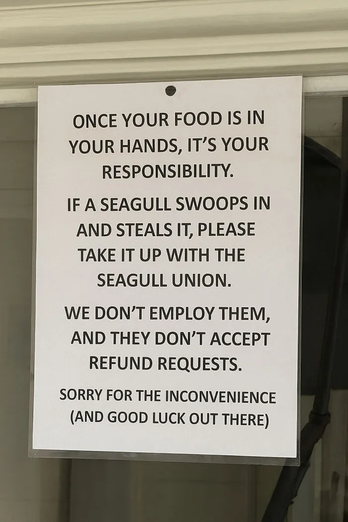 Funny food responsibility sign warning customers about seagull thefts and no refunds