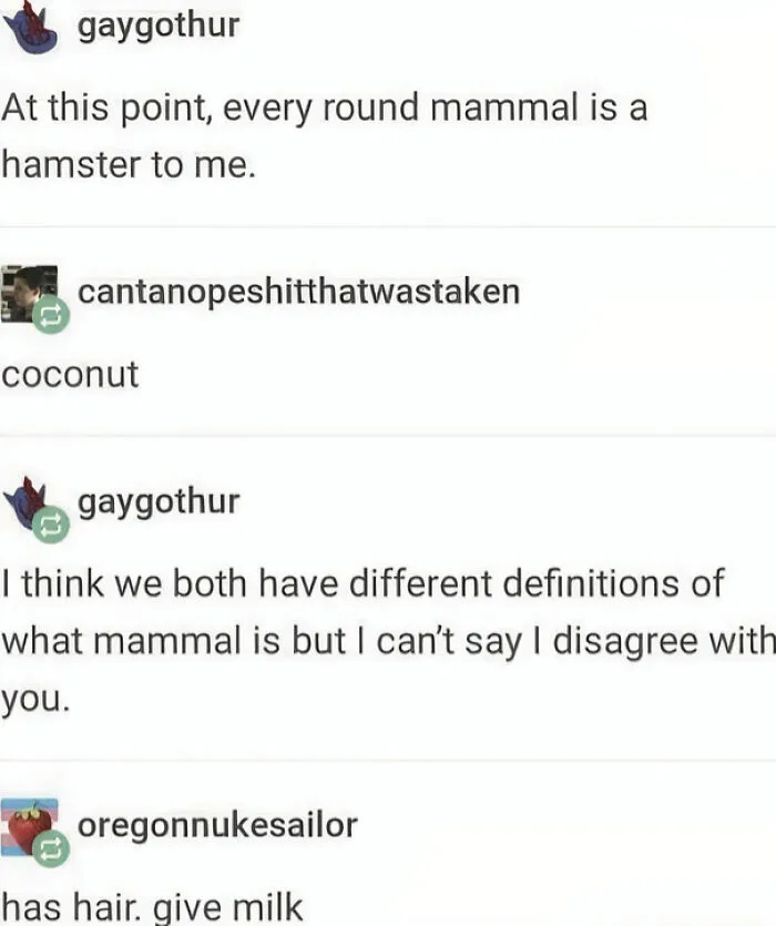 Tumblr text conversation about mammals and coconuts, showing chaotic posts.