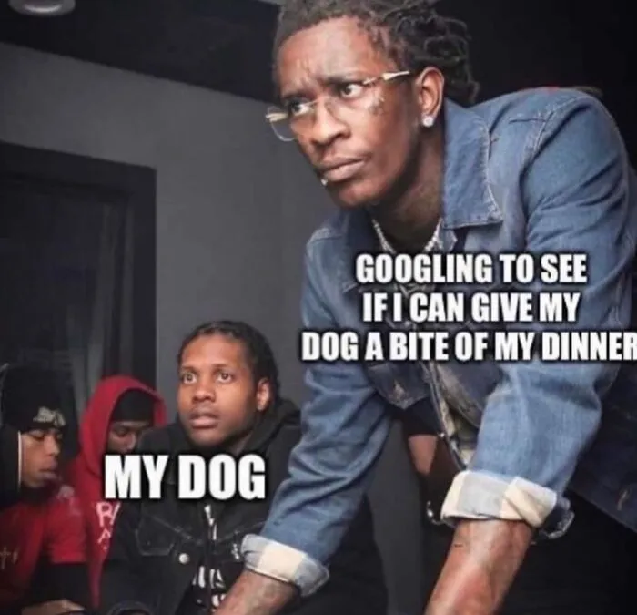 Funny meme about googling if dog can eat dinner with person
