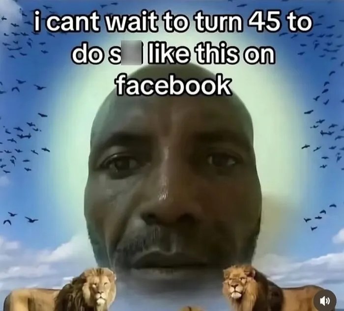 Relatable meme about turning 45 and posting funny content on Facebook with large face and lions