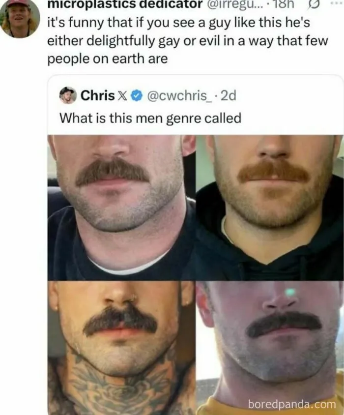 Relatable memes showing men with mustaches as a funny men genre example
