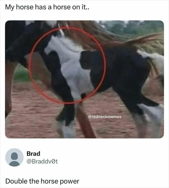 78 Hilarious But Not-So-Relatable Memes That Prove Rednecks Really Do Exist