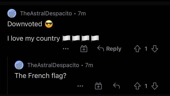 Reddit user who pretended to be someone else and embarrassed themselves commenting on their own post about the French flag