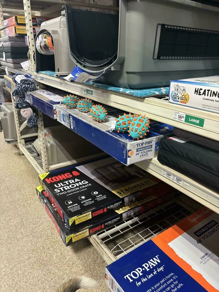 Shelf in a pet store containing dog crates and blue chew toys.