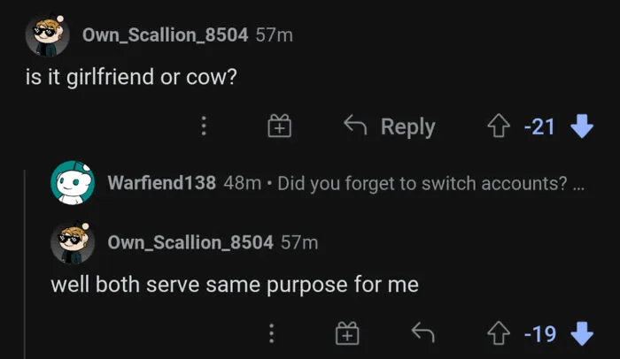 Reddit user forgets to switch profiles and comments on their own post, pretending to be someone else.