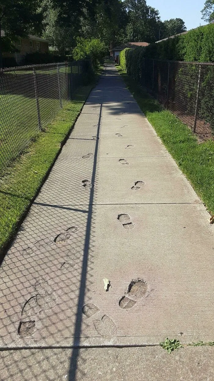 This Sidewalk By My House