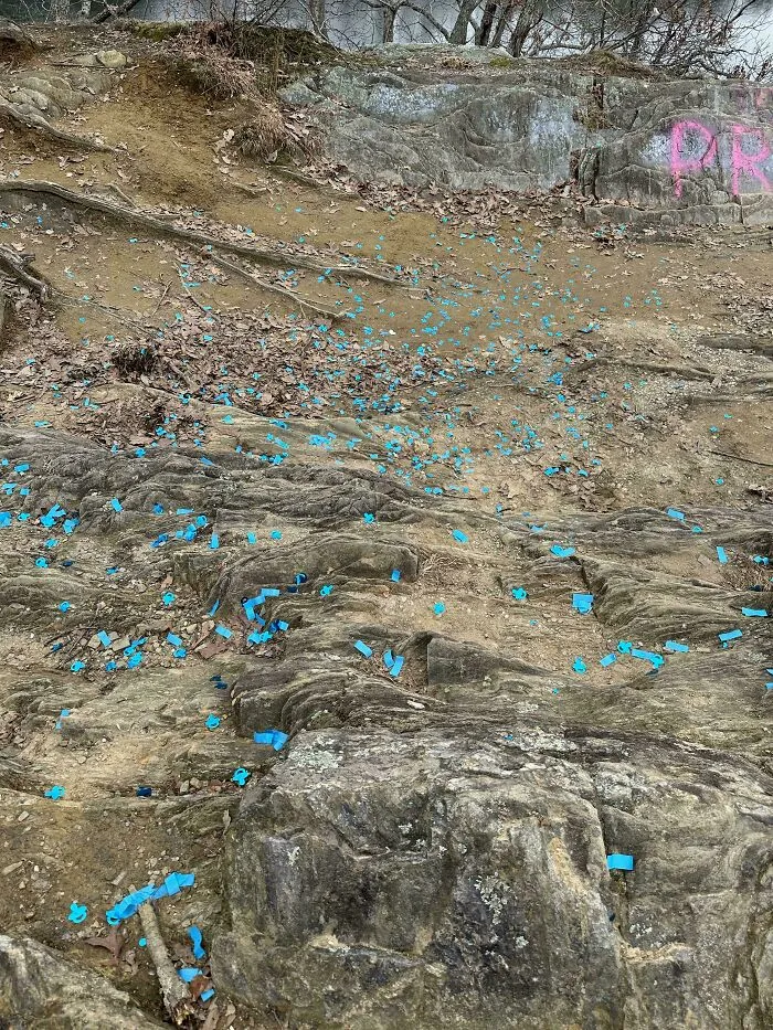 A rocky nature path covered in blue gender reveal confetti, showcasing main character lives behavior.