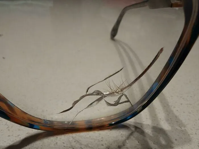 A cracked eyeglass lens showing interesting and cool photos of everyday mishaps