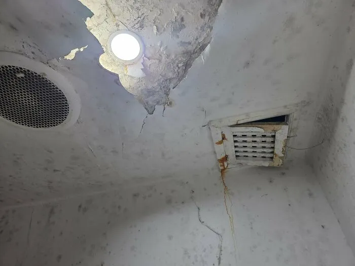 A moldy, peeling ceiling in a rental property showing worst booking experiences