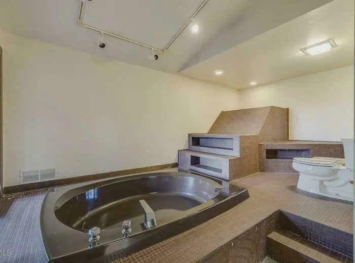 An oddly shaped brown bathtub next to a toilet on raised platforms in a uniquely designed bathroom.