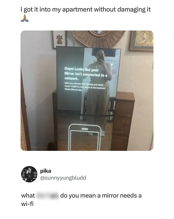 Wild memes smart mirror needing wi-fi shown in apartment