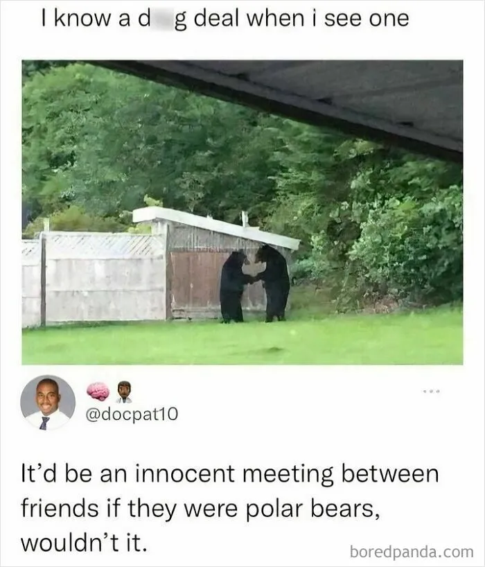 Edgy meme with two black bears and joke about polar bears meeting