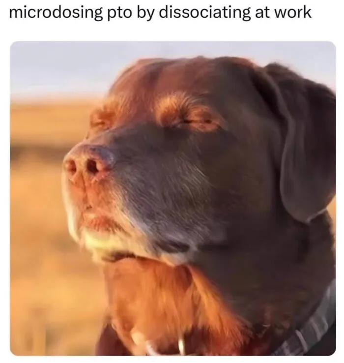 Wild Memes Thehomie dog with eyes closed caption about dissociating at work