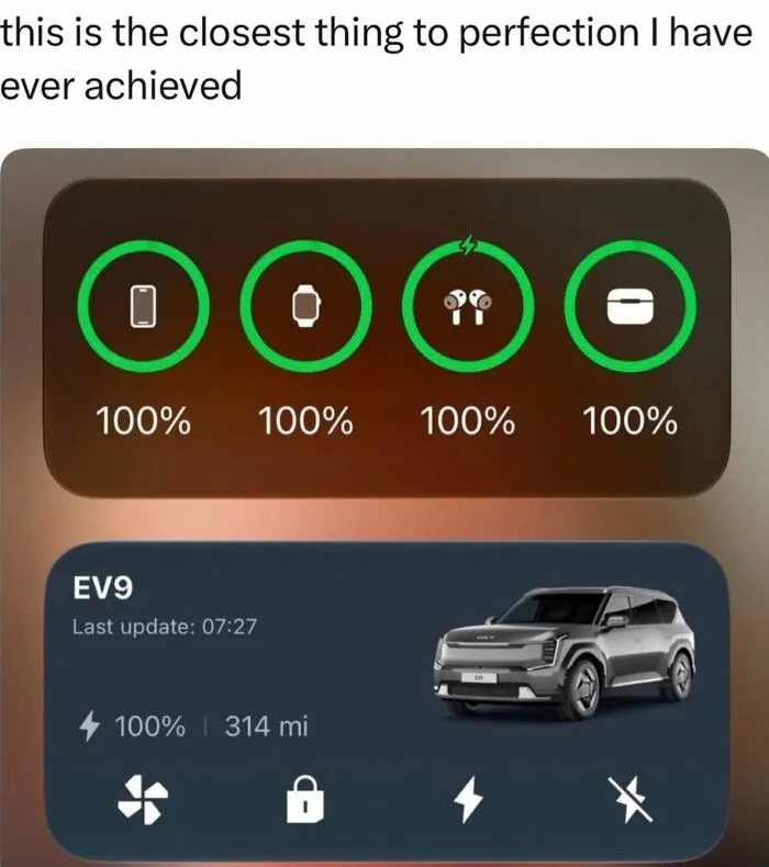 Wild Memes Thehomie showing all devices fully charged at 100 percent