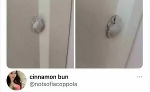 75 Rental Experiences So Ridiculous People Couldn’t Keep Them To Themselves