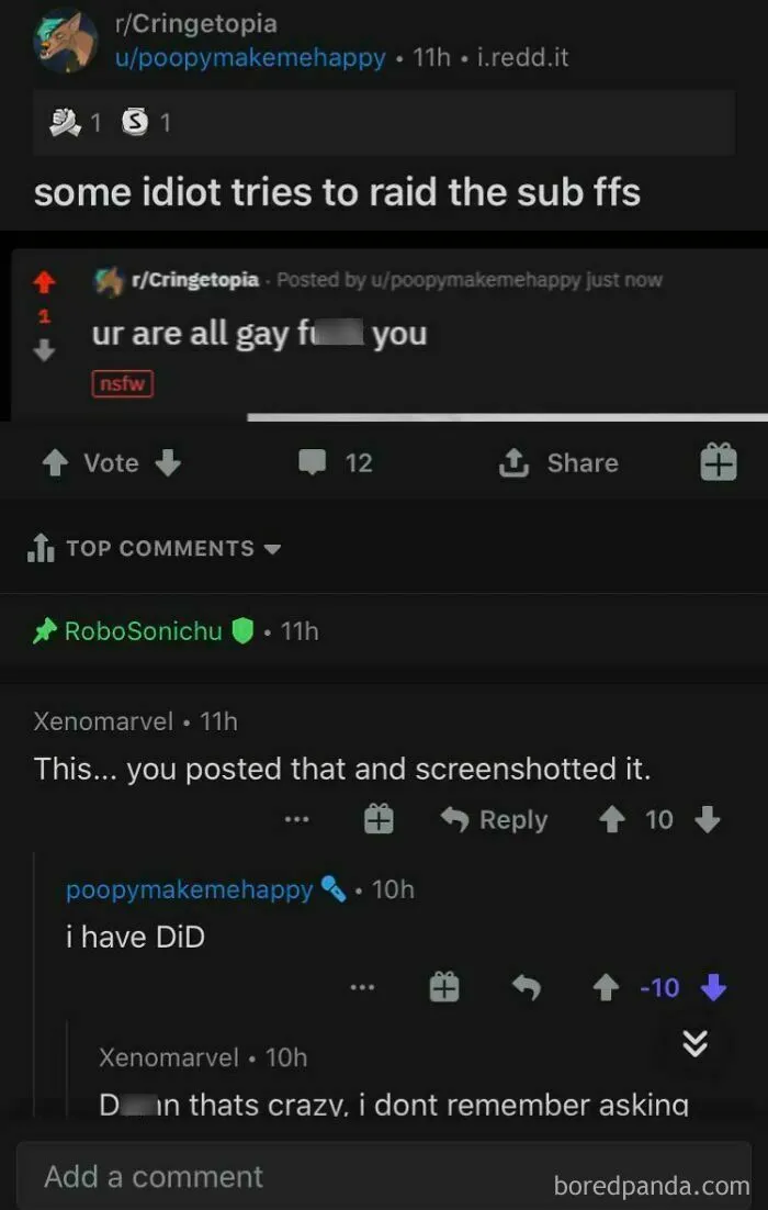A Reddit thread where a user pretended to be someone else to complain about a raid they actually started themselves.