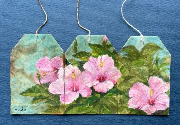 Four pink hibiscus flowers painted across three used tea bags as delicate miniature paintings.