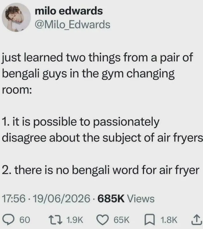 It Is Possible To Passionately Disagree About The Subject Of Air Fryers