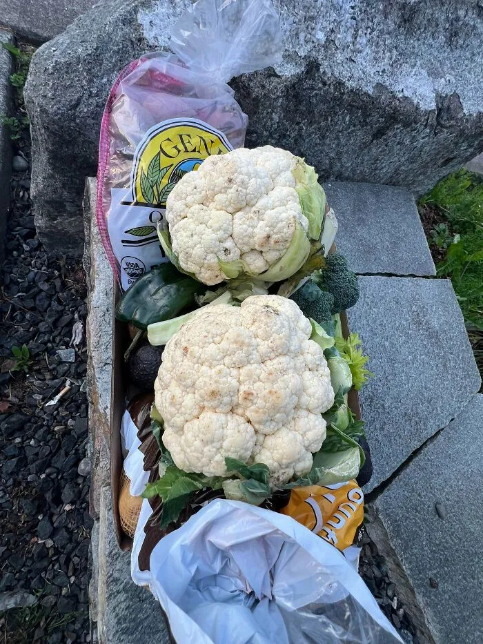 Fresh vegetables including cauliflower found during dumpster diving
