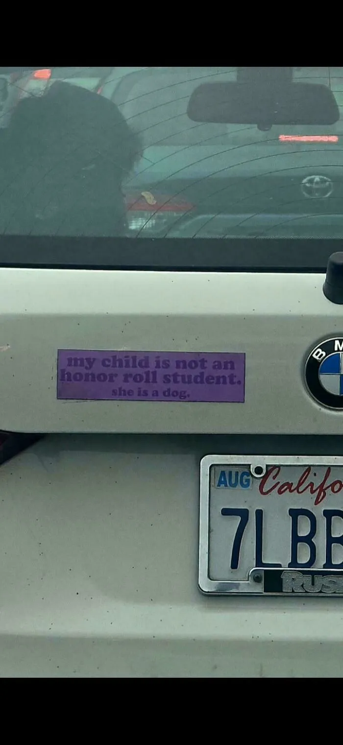 Humorous bumper stickers stating my child is not an honor roll student, she is a dog on a car trunk.