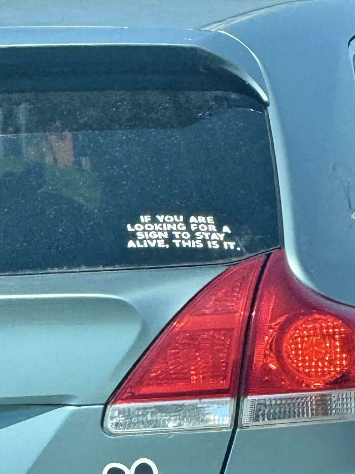 Car window decal with message about staying alive, featured as wild bumper stickers.