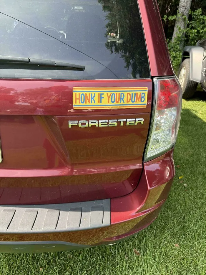 Yellow and blue bumper stickers on a red car trunk reading Honk If Your Dumb.