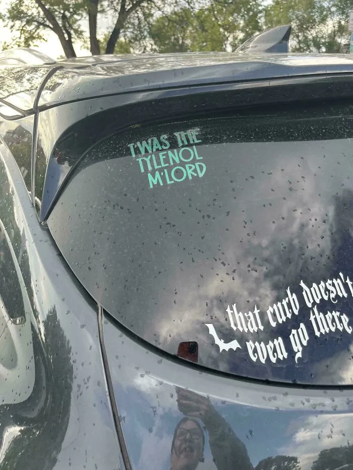 Car back window featuring funny bumper stickers with quirky text decals