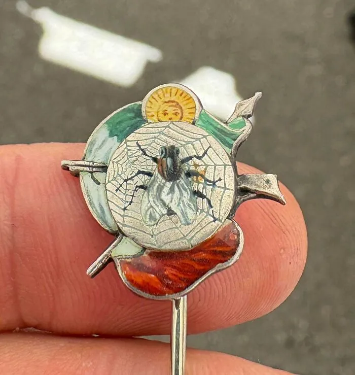 A detailed vintage insect lapel pin held up, showcasing unique old treasures.