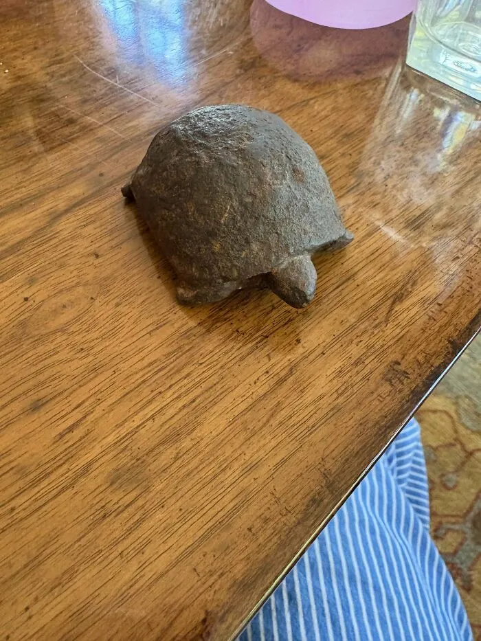 A heavy cast iron turtle figure resting on a wooden tabletop, representing old treasures found by antique lovers.