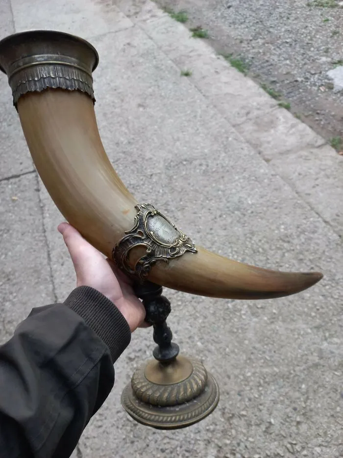 A antique horn drinking cup mounted on a brass stand, perfect old treasures for antique lovers