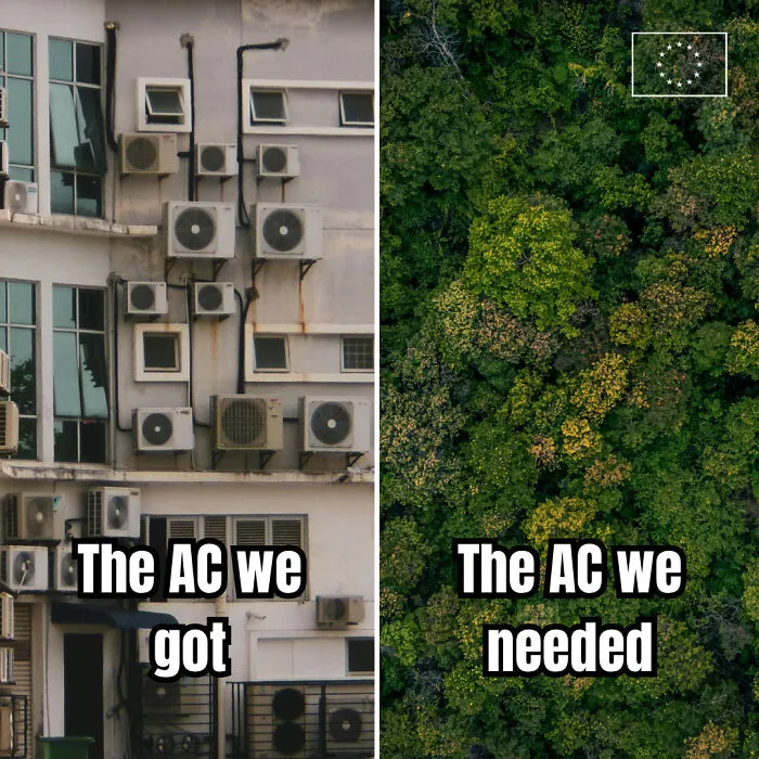 Forest AC Is Best AC
