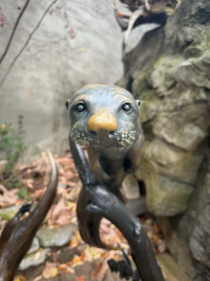 Fascinating photos of a bronze otter statue whose nose is shiny from being repeatedly touched over time.