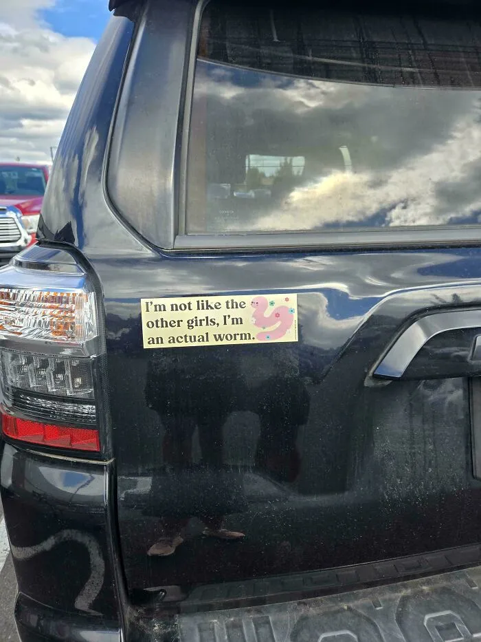 Funny bumper stickers on a black car featuring a worm illustration and humorous text